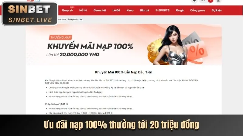 Hoàn trả cược thể thao hàng ngày/tuần